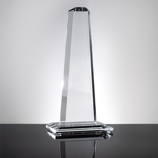 Capricorn Tower Award