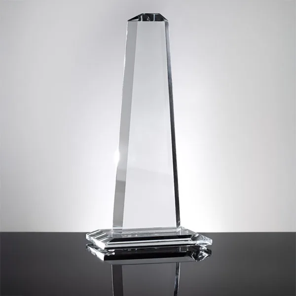 Capricorn Tower Award