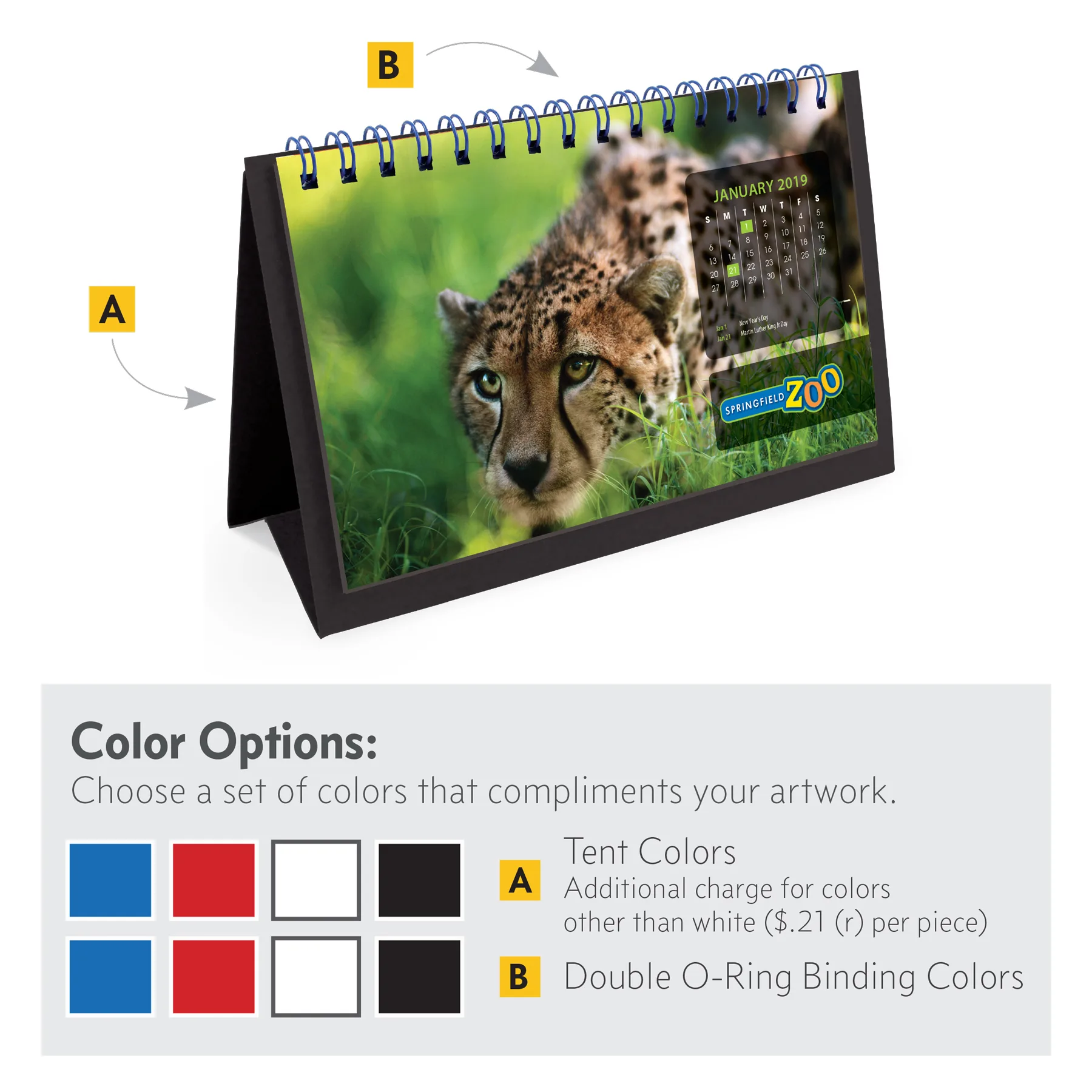 Color Options