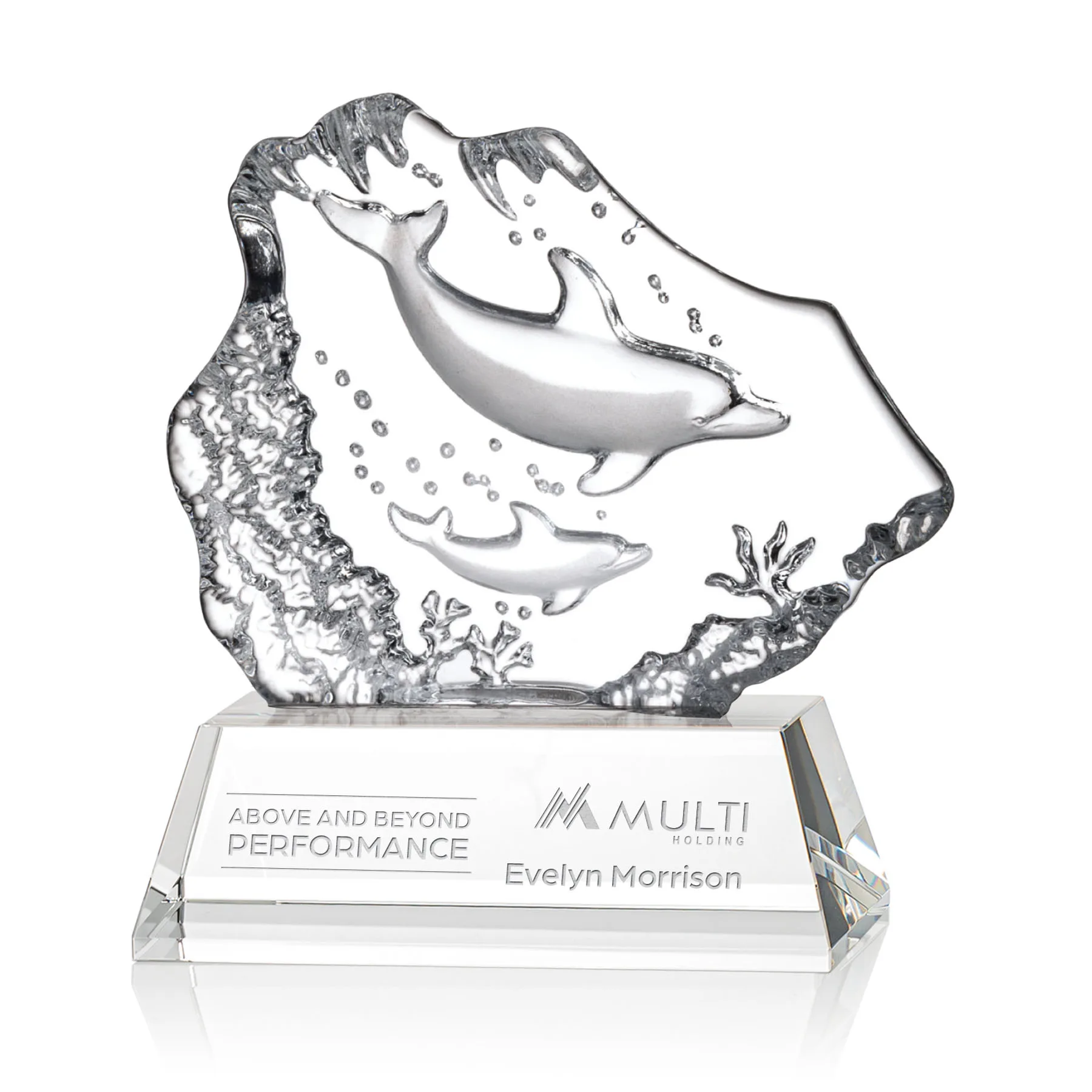Ottavia 2 Dolphins Award — Ottavia 2 Dolphins Award