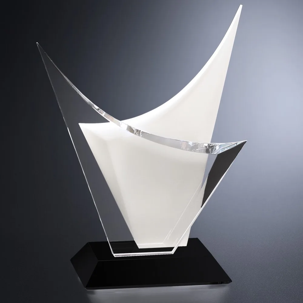 Voyager Award 8" view 2