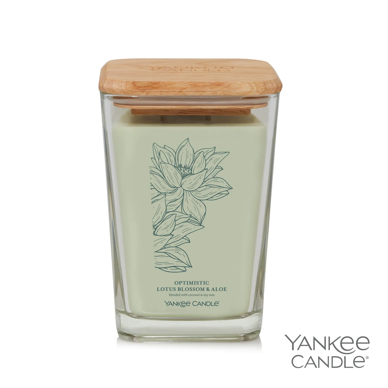 Optimistic Lotus Blossom & Aloe