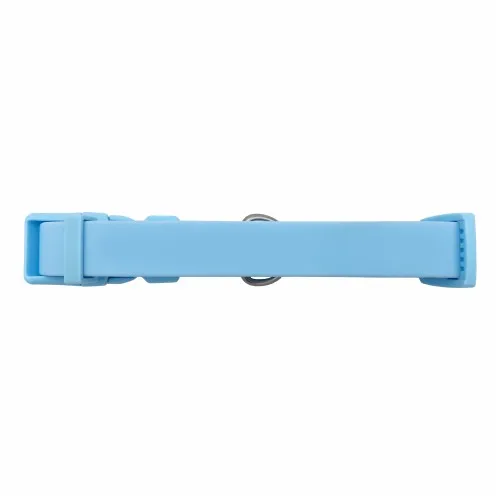Springer Large Dog Collar view 2