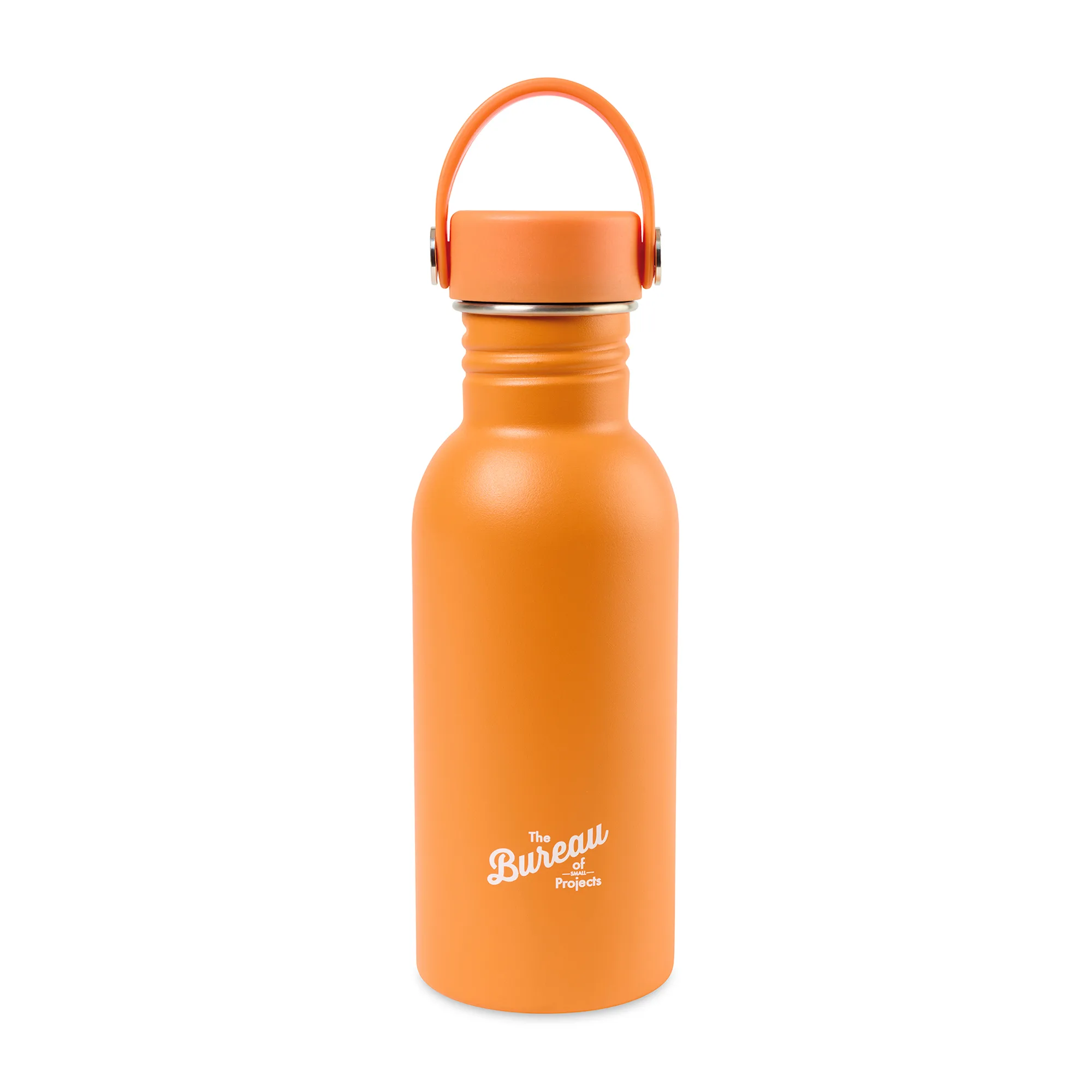 Arlo Classics Stainless Steel Hydration Bottle - 17 Oz. - Carrot Curl