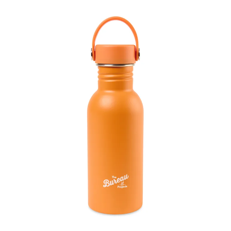Arlo Classics Stainless Steel Hydration Bottle - 17 Oz. - Carrot Curl