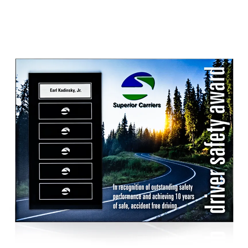 Radiant Perpetual Award Plaque - 9x12, Horizontal view 2