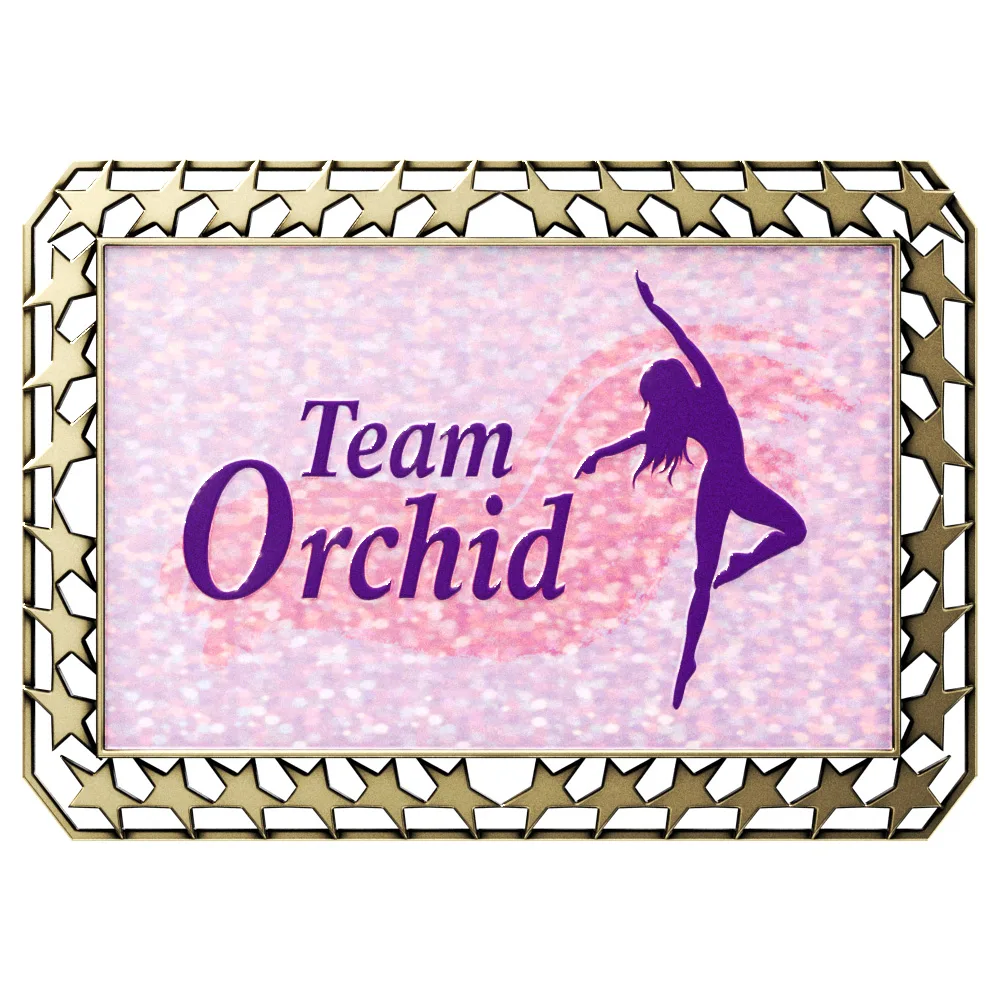 Vibraprint® Bright Star Border Rectangle Insert Medallions (3-1/2") view 6