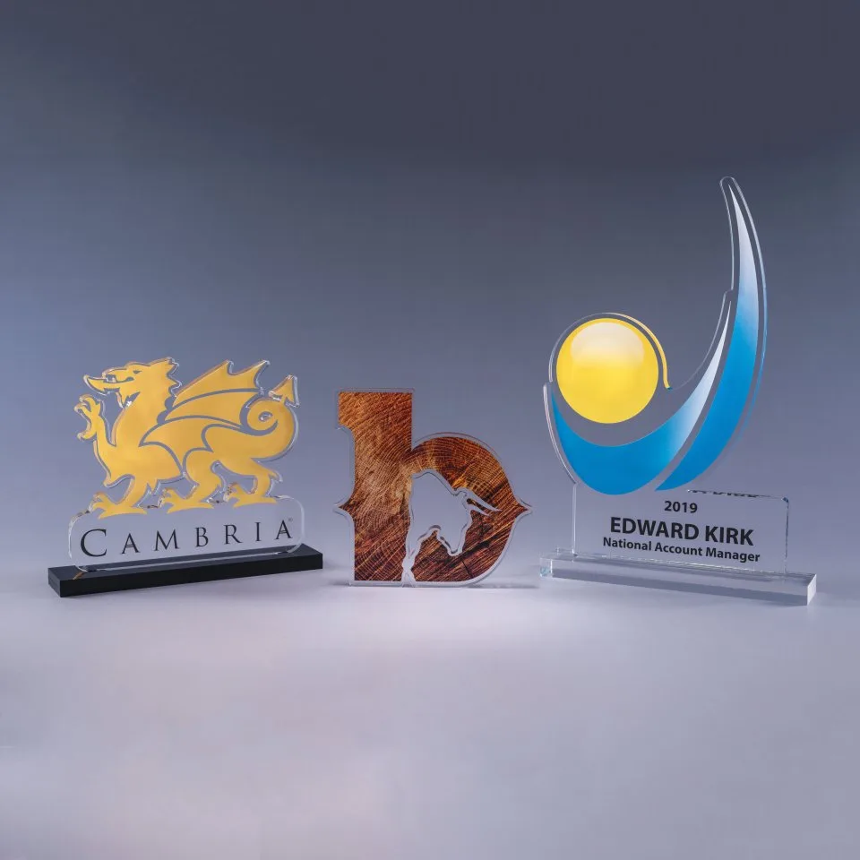 1/2" Custom Cut Acrylic Award