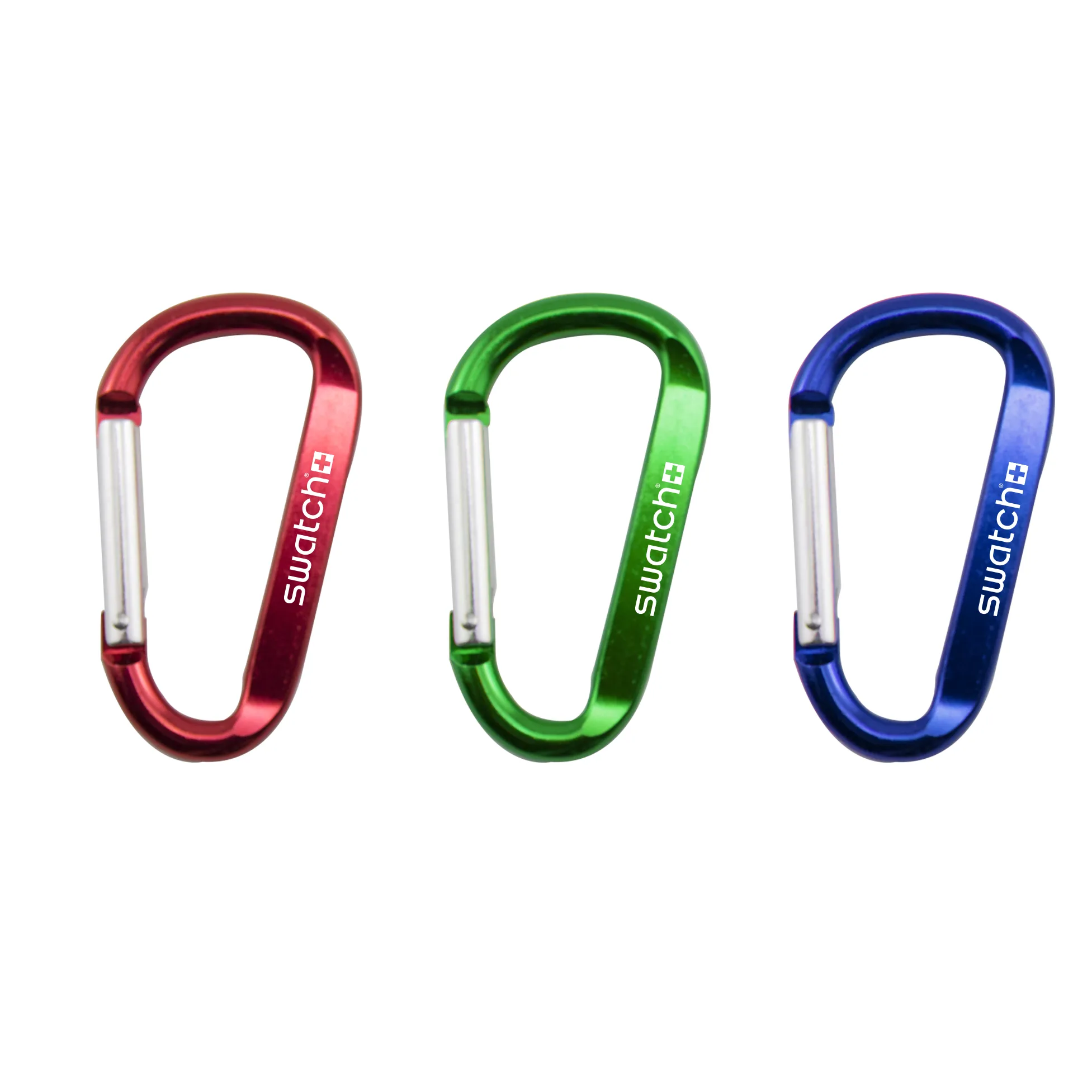 Carabiner Clip Keychain
