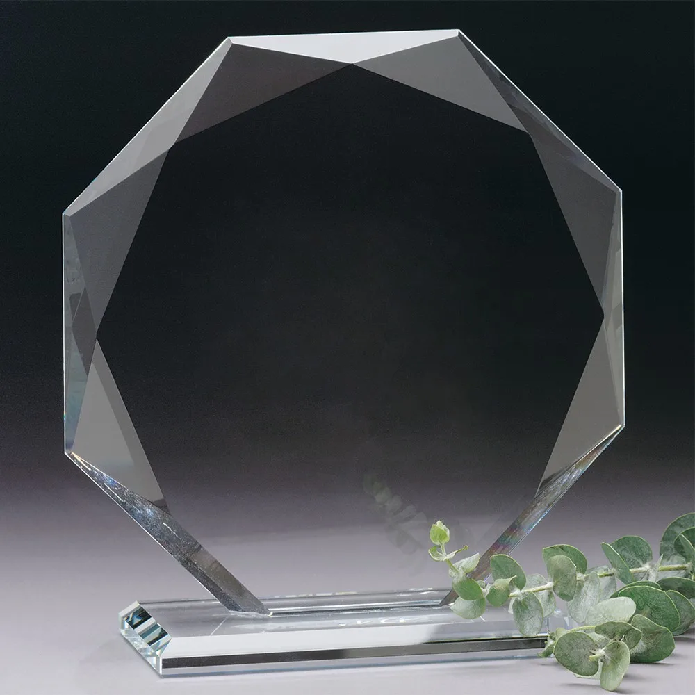 Omni Award 6-1/2" view 2