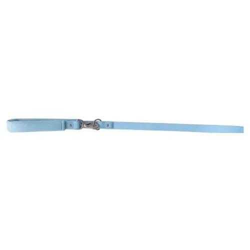 Springer Small Dog Leash view 2