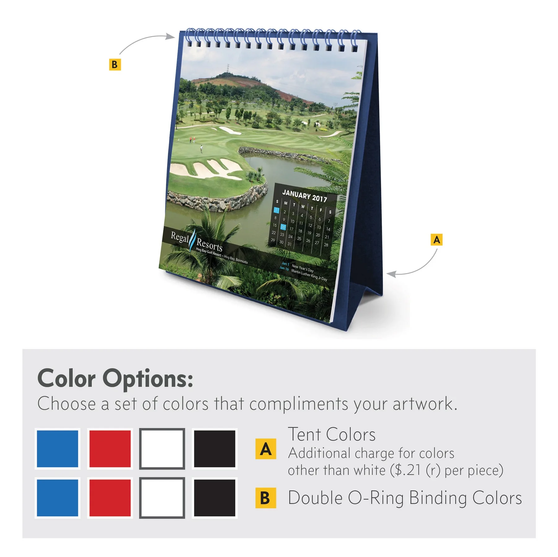 Color Options