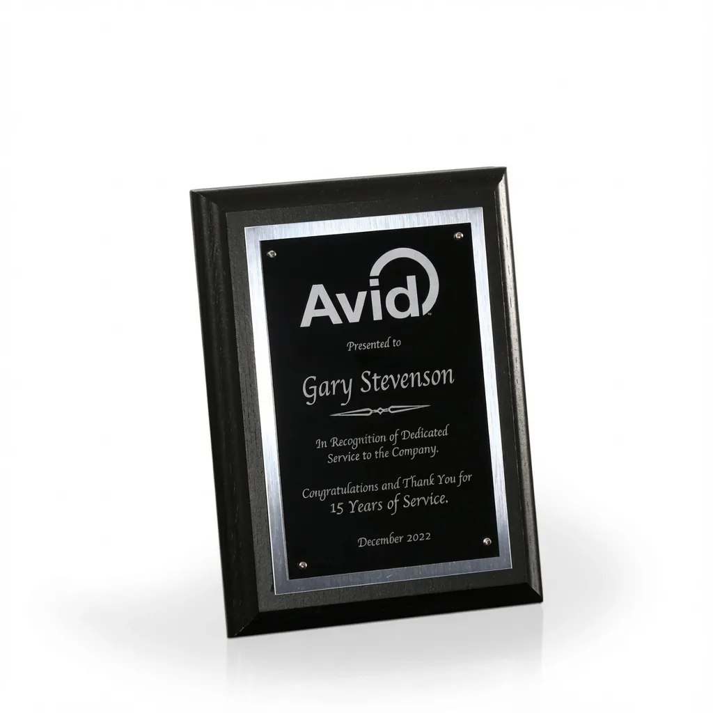 Joplin Award Plaque, view 6