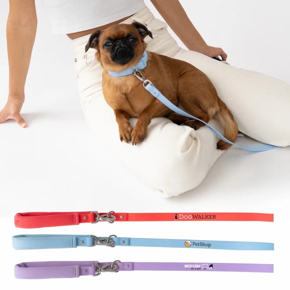 Springer Small Dog Leash