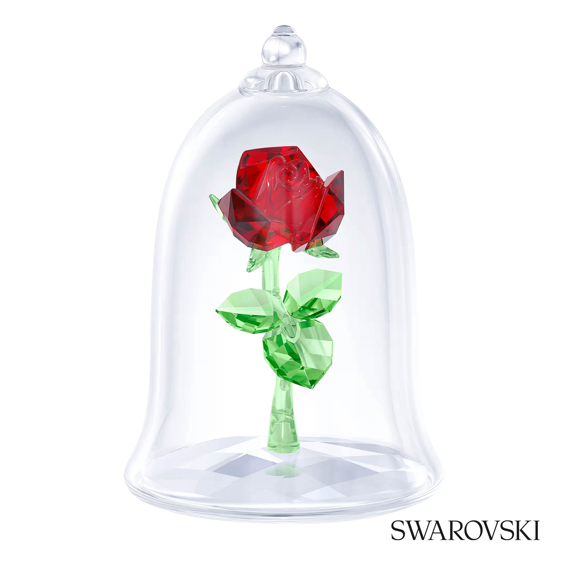 Enchanted Rose