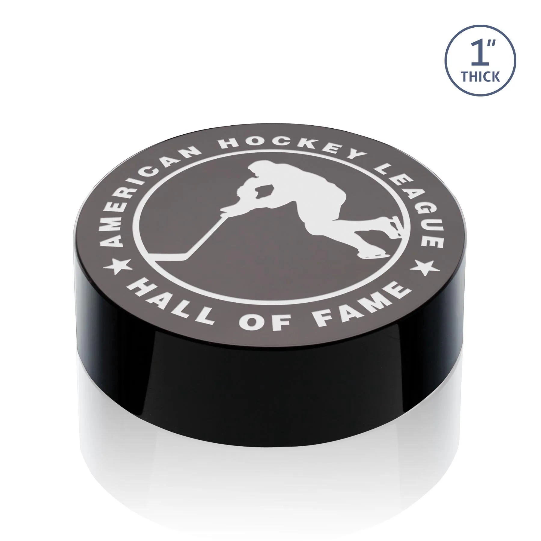 Hockey Puck Award — Hockey Puck Award