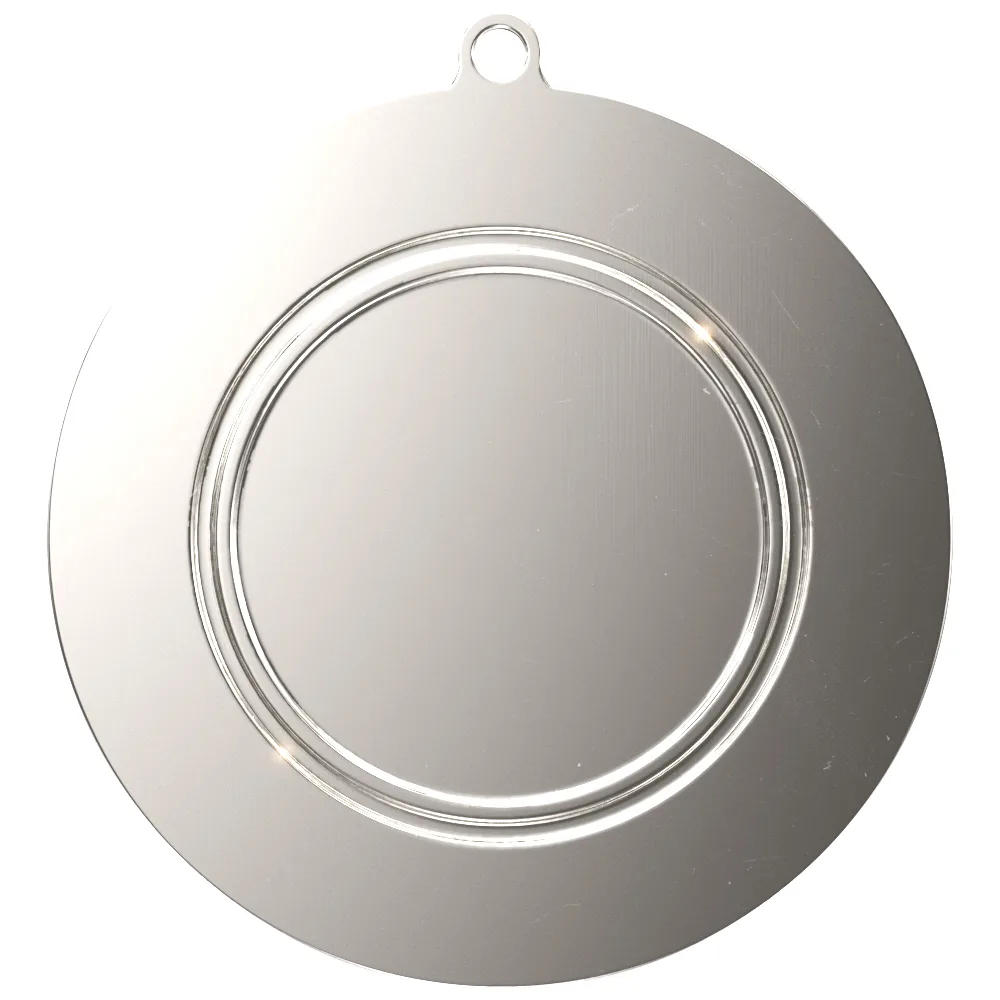 Radiant Star Bright 2nd Place Medal view 2