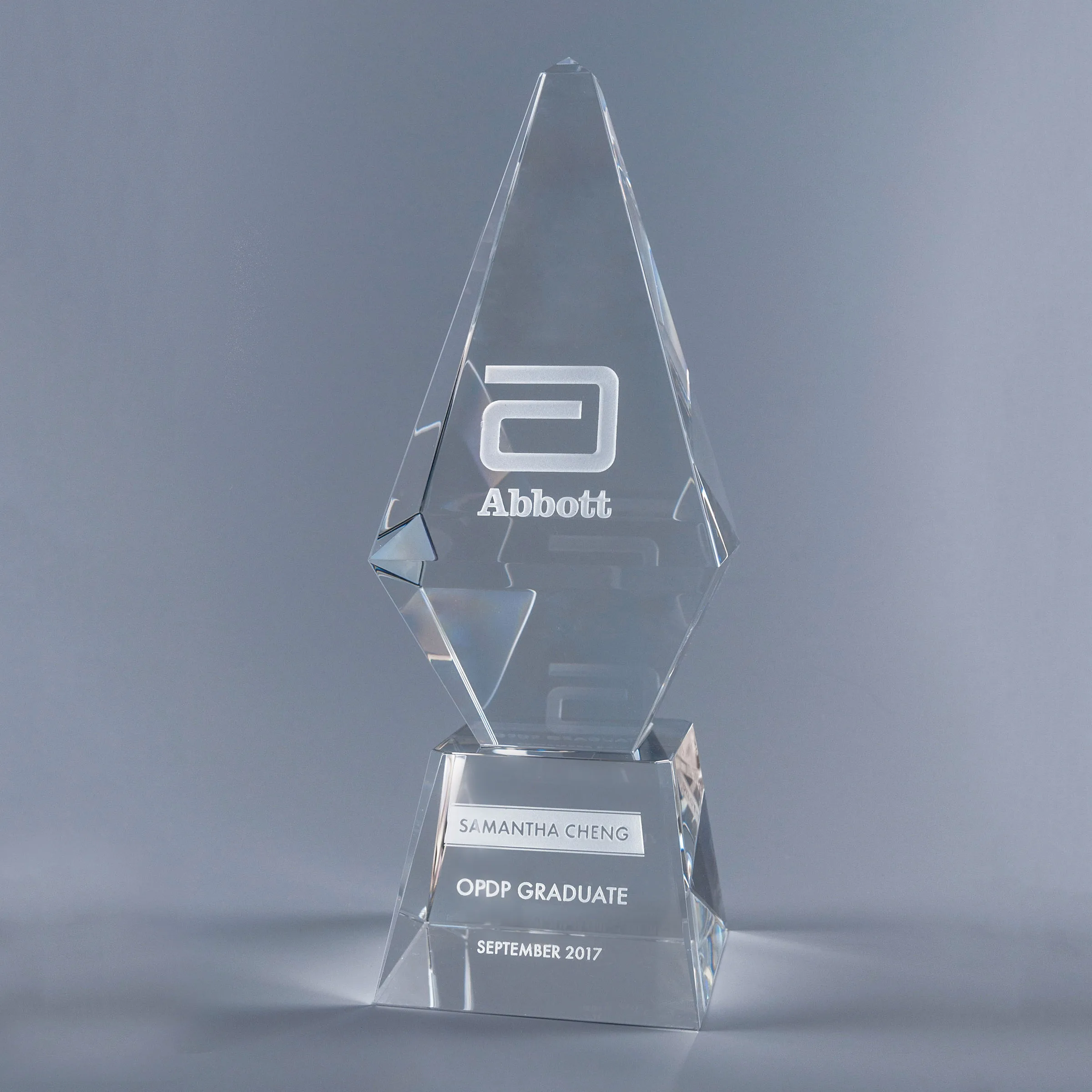 10" Homage Crystal Award view 2