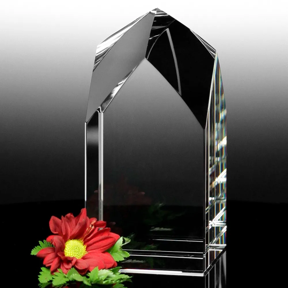 Blenheim Award 6" view 2