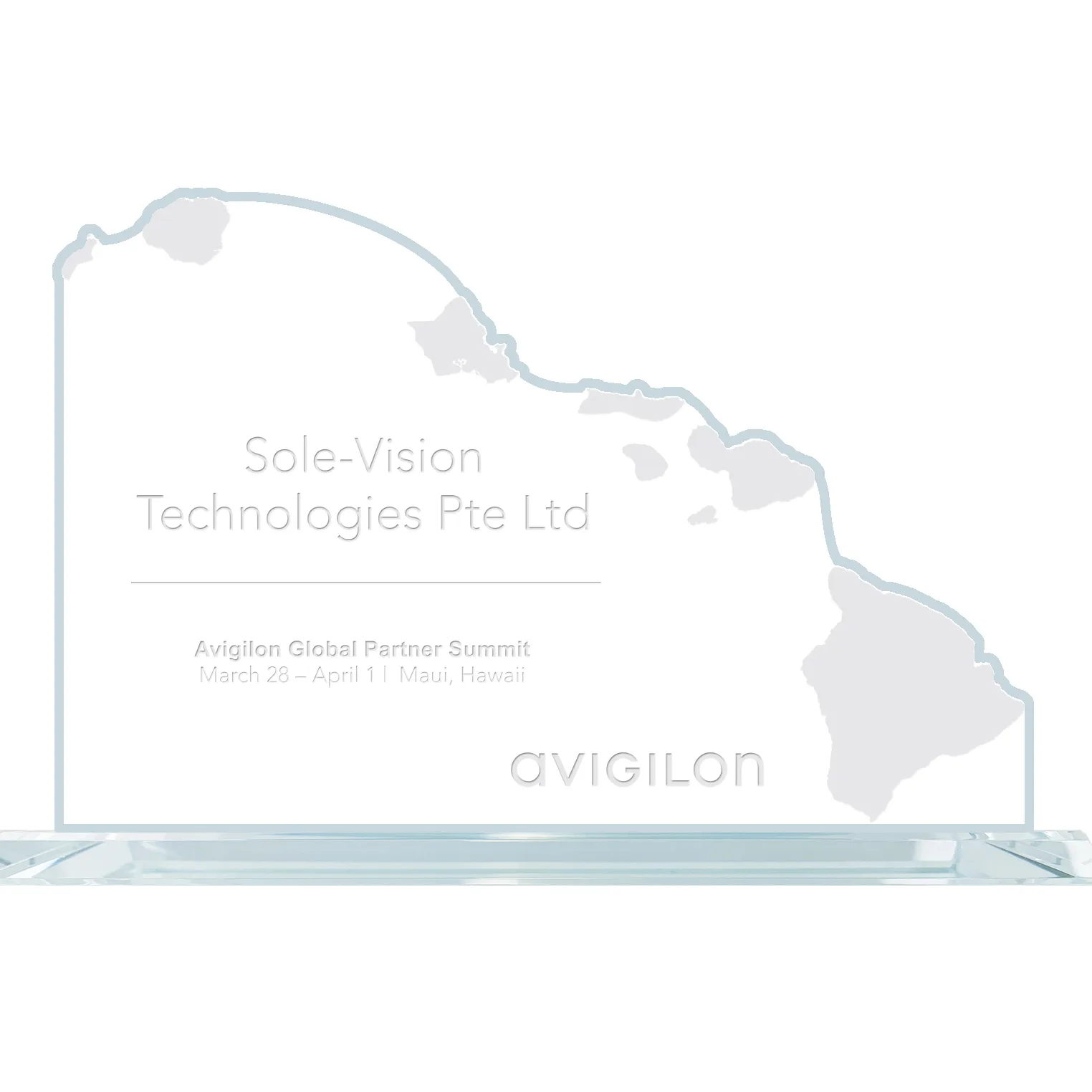 State Map Award -  Hawaii