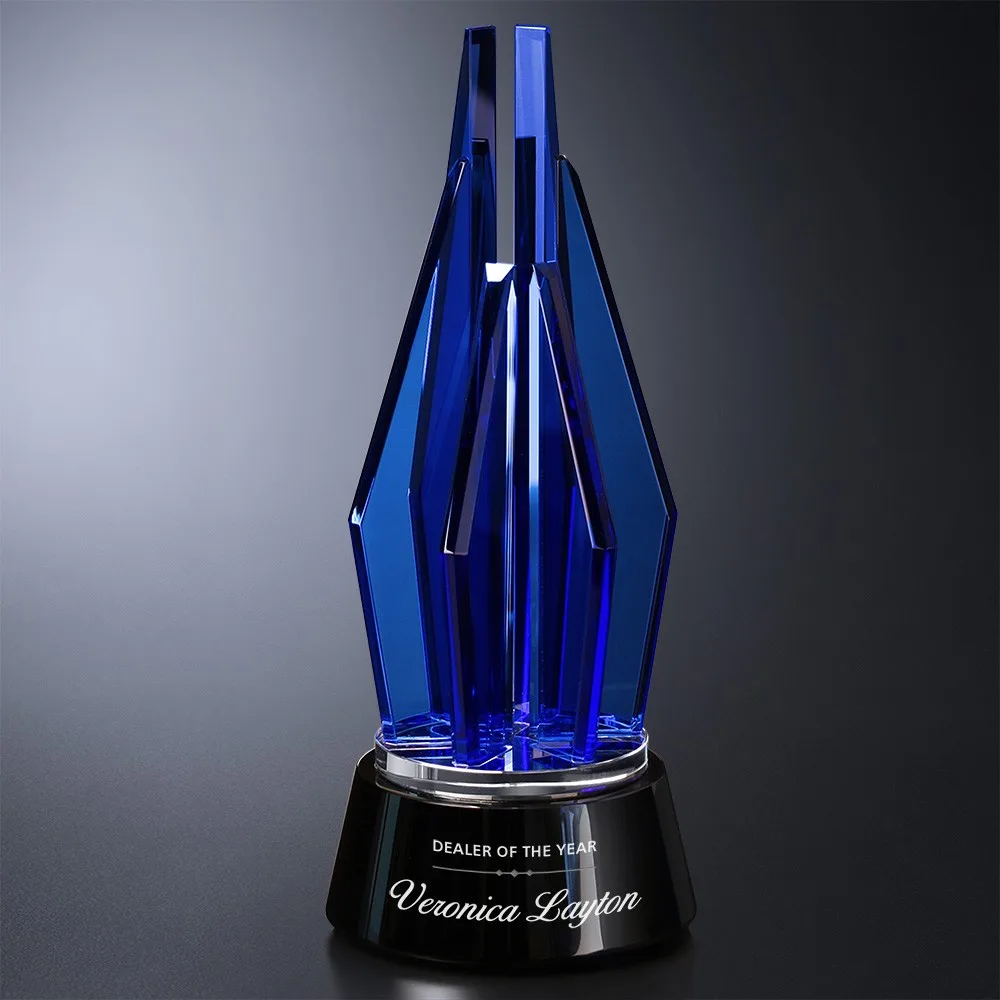 Vector Indigo Award 11" view 2