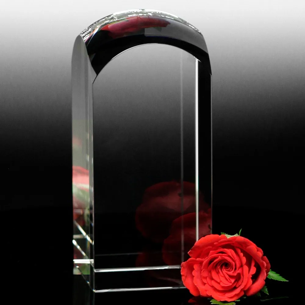 Dome Award 4" view 2