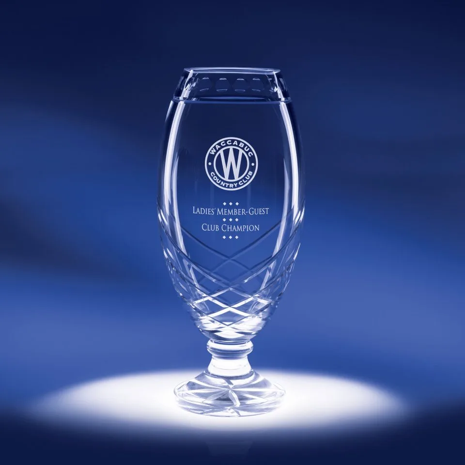 9.5" Cycle Cup Crystal Award