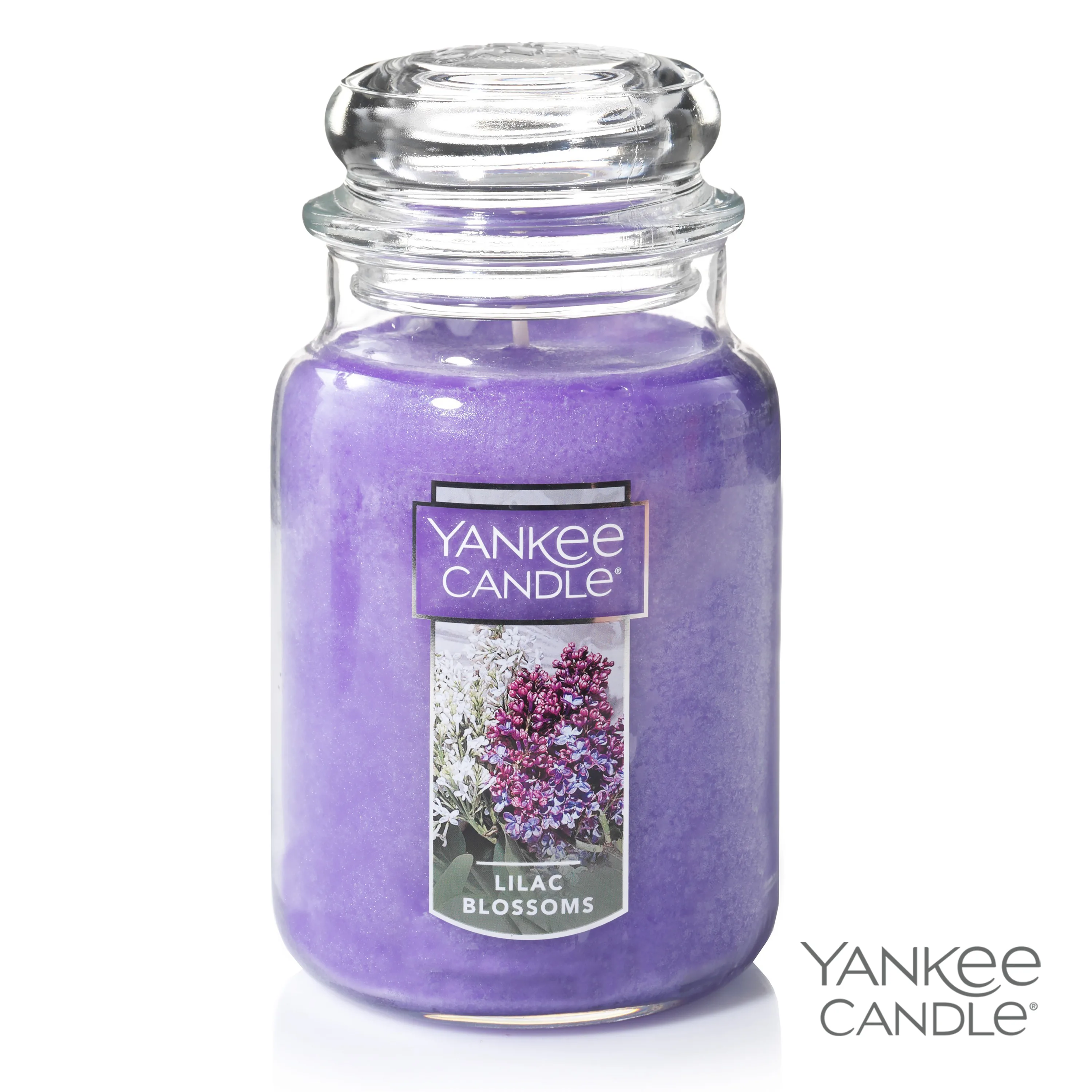 Lilac Blossoms
