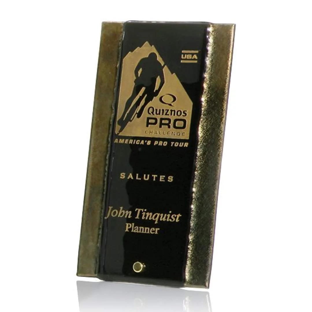Gold Fusion with Peg Award