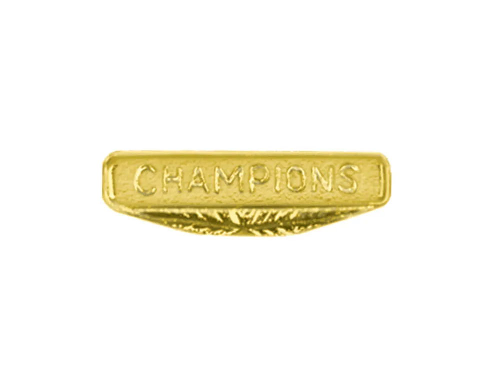 Champions Chenille Lapel Pin
