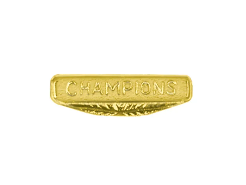 Champions Chenille Lapel Pin