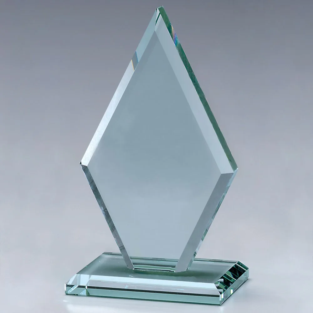 Premier Diamond 10" view 2