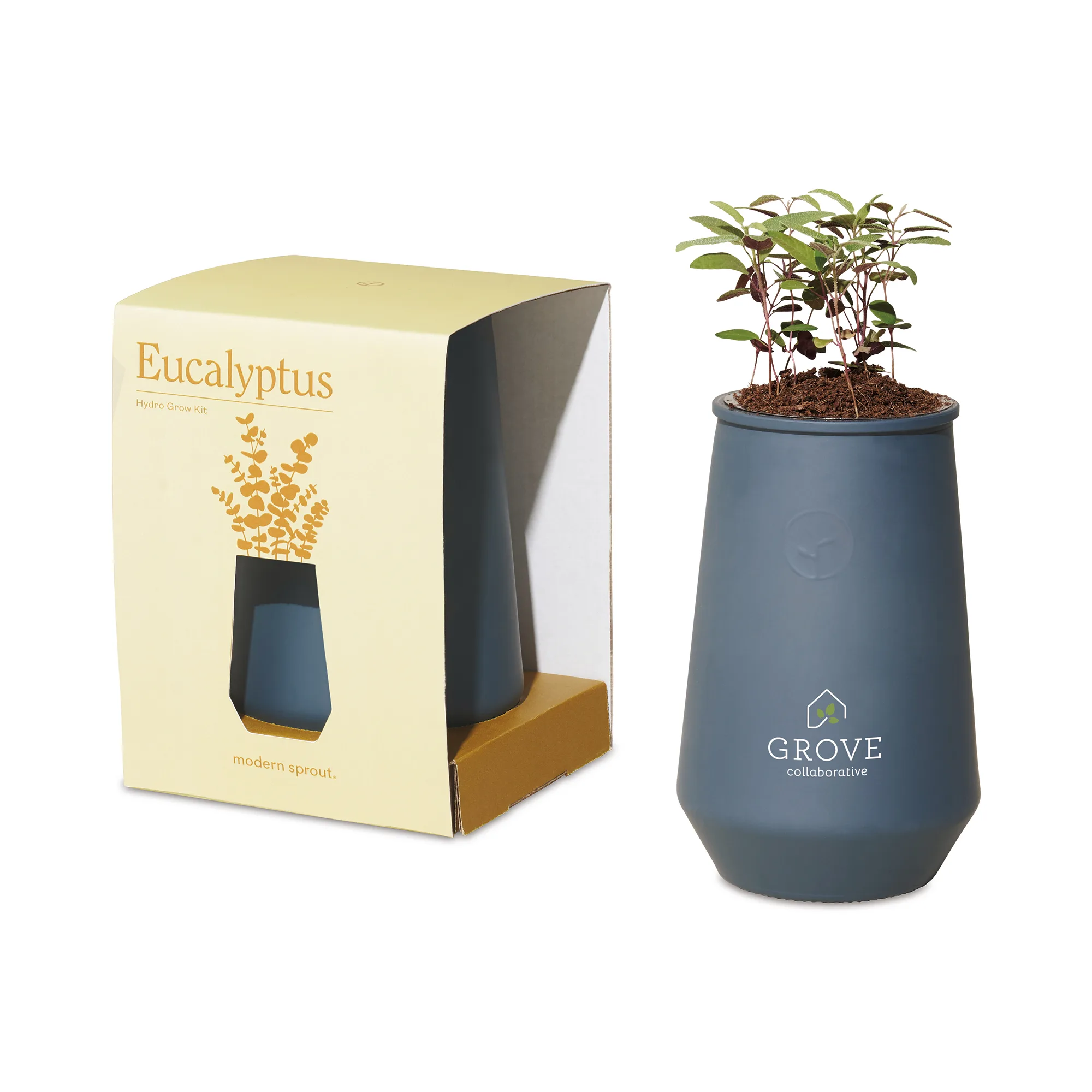 Modern Sprout Tapered Tumbler Grow Kit - Blue Agave-Eucalyptus