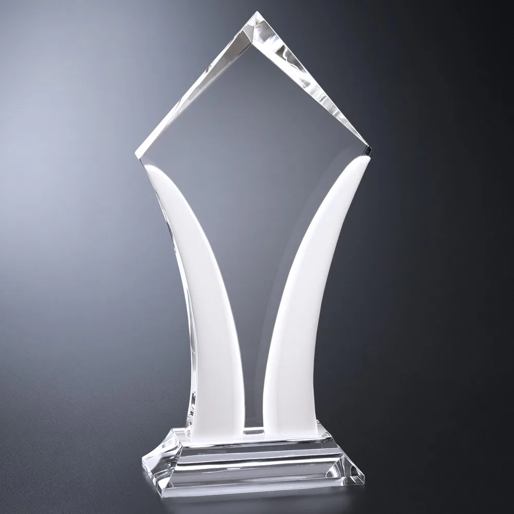 Aurora Award 10-1/2" view 2